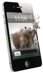 Avt.co .il .קידום אפליקציה לנייד.png